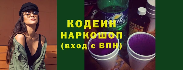 индика Нязепетровск