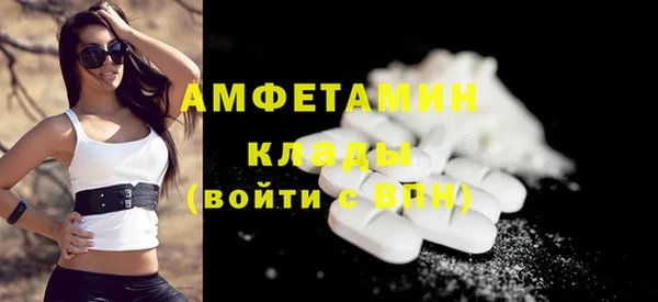 индика Нязепетровск