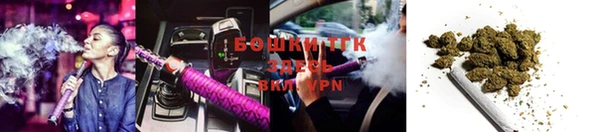 ALPHA PVP Няндома