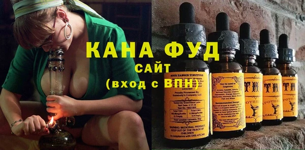 индика Нязепетровск
