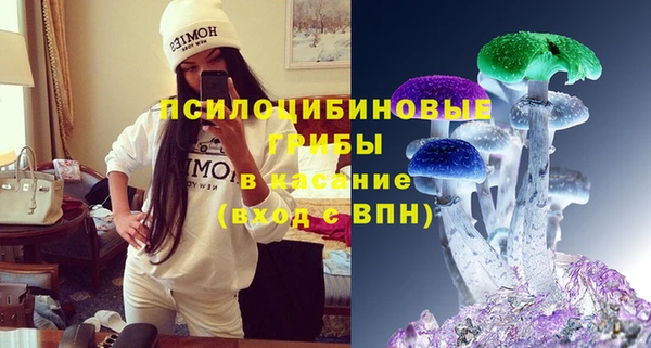 индика Нязепетровск