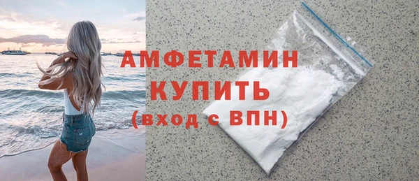 индика Нязепетровск