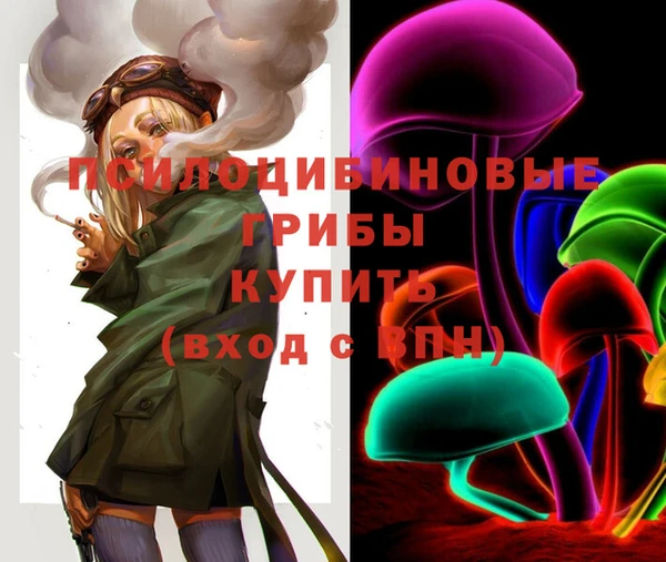 индика Нязепетровск