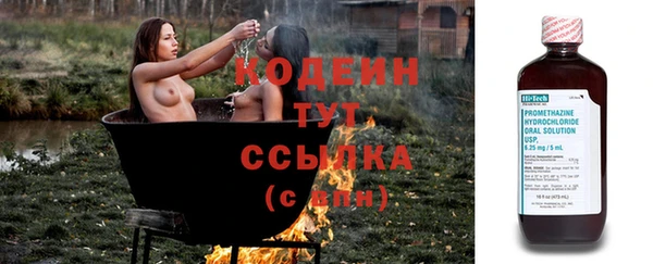 индика Нязепетровск