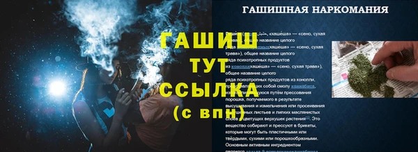 индика Нязепетровск